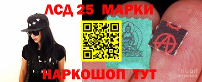 СК Апшеронск