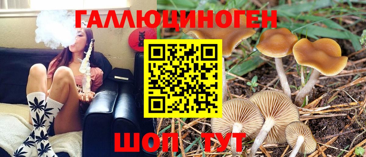 Богданович  Псилоцибиновые грибы прущие грибы  Вход с VPN 
