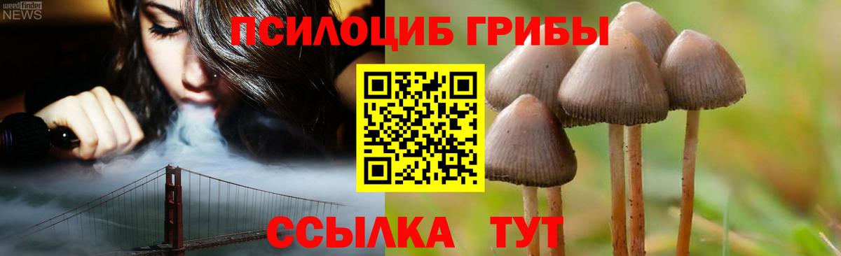 Псилоцибиновые грибы мухоморы Богданович