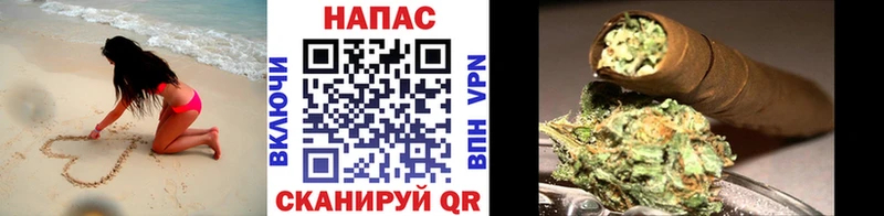 Каннабис план  Богданович 