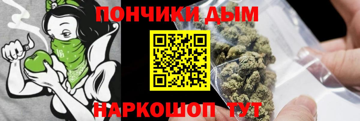 Шишки марихуана план Богданович